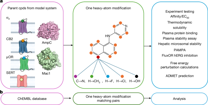 Development of a random background to understand ligand optimization – Nature