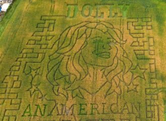 Dolly Parton corn mazes crop up in fields nationwide
