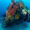 Donor-funded science is rising in Brazil ― upending a long tradition