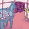 Drug-delivering particles aim to breach the blood–brain barrier