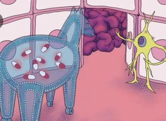 Drug-delivering particles aim to breach the blood–brain barrier