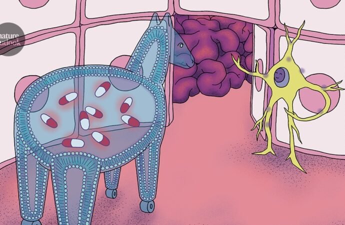 Drug-delivering particles aim to breach the blood–brain barrier