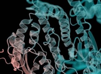Drug firms’ secret data supercharge AI protein models