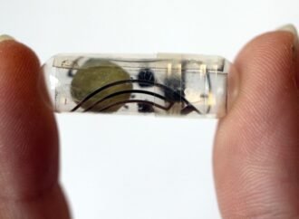 Edible batteries power medical devices in the body