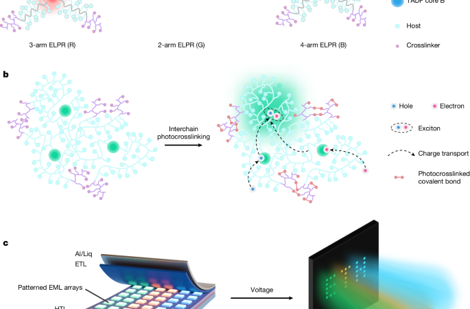 Electroluminescent photoresists extending lithographic scaling to OLEDs – Nature