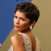 Emmys 2026 red carpet in pictures: Zendaya, Colman Domingo and Selena Gomez lead stars at awards ceremony