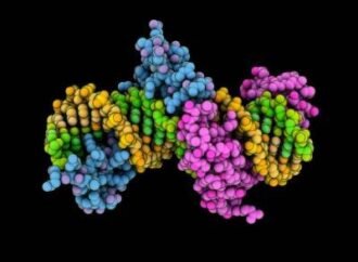 ‘Epigenetic’ editing is here: gene-tagging technique banishes hepatitis B virus