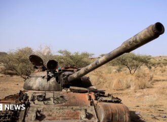 Ethiopia conflict: Seven armed groups form alliance against Abiy Ahmed