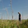 Farmers turn to perennial grains as one solution to extreme weather