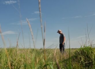 Farmers turn to perennial grains as one solution to extreme weather
