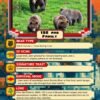 Fat Bear Week Day 1: It’s a battle of the moms and single females