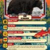Fat Bear Week Day 2: Battle of the big boys and the up-and-comers