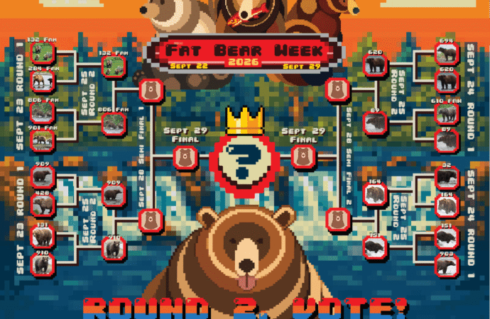 Fat Bear Week, Round 2 results: Bucky Dent, Backpack, 132, and 910 triumph
