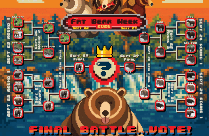 Fat Bear Week semi-final results: Backpack and Bear #910 advance to final