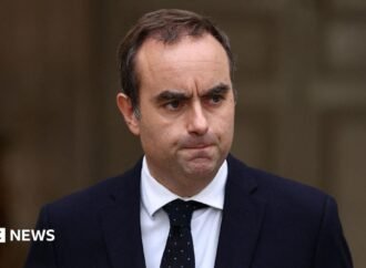 French PM Lecornu warns against escalation of school protests