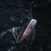 From ribbonfish to seahorses, see the winners of the 2026 Ocean Photographer of the Year awards