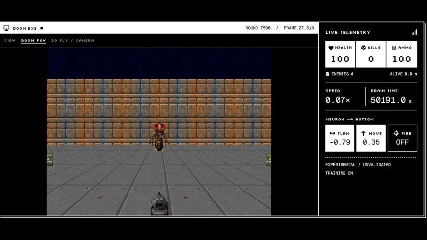 A screenshot of Doomfly, a simulated fly brain playing Doom.
