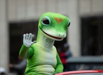 Geico has one of advertising’s most famous mascots. Its CMO says that’s no longer enough | Fortune
