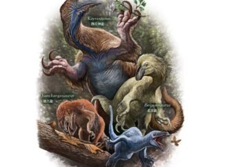 Giant, feathered dinosaur with massive claws and tons of teeth found in China