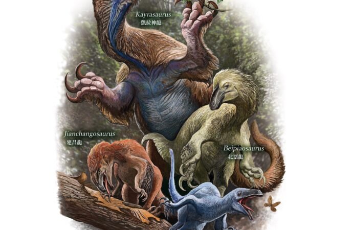 Giant, feathered dinosaur with massive claws and tons of teeth found in China