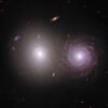 Help Overlap Zoo Reveal Cosmic Dust – NASA Science