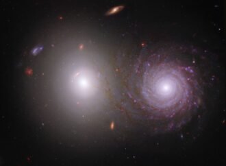 Help Overlap Zoo Reveal Cosmic Dust – NASA Science