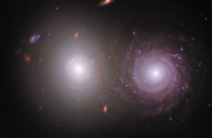 Help Overlap Zoo Reveal Cosmic Dust – NASA Science