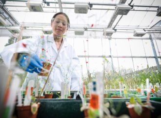 How research funding took me out of the lab and into leadership