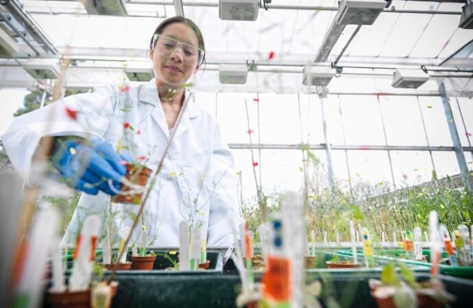 How research funding took me out of the lab and into leadership