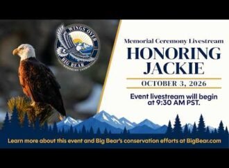 How to watch Jackie the bald eagle’s memorial service