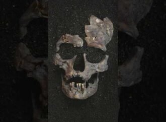 Humans experimented with drugs 23,000 years earlier than we thought