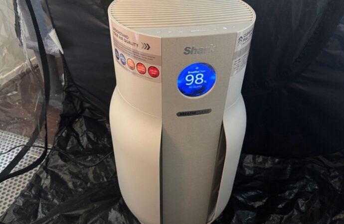 I Tested Air Purifiers With Actual Smoke. These Cleared It Best