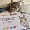 I Took an At-Home Pet DNA Test Kit and Found Out My Cat Is a Cat