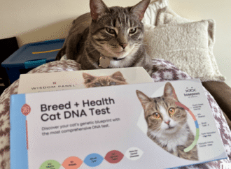 I Took an At-Home Pet DNA Test Kit and Found Out My Cat Is a Cat