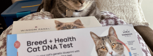 I Took an At-Home Pet DNA Test Kit and Found Out My Cat Is a Cat