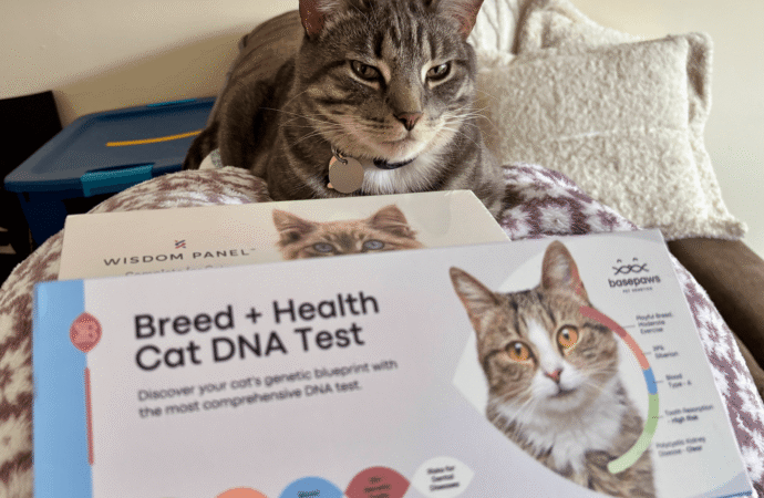 I Took an At-Home Pet DNA Test Kit and Found Out My Cat Is a Cat