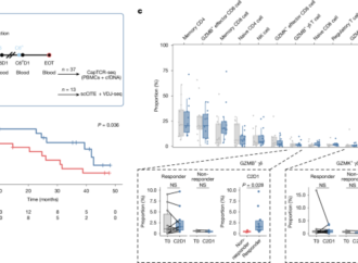 Identification of broadly tumour-reactive γδ TCRs from multiple myeloma – Nature