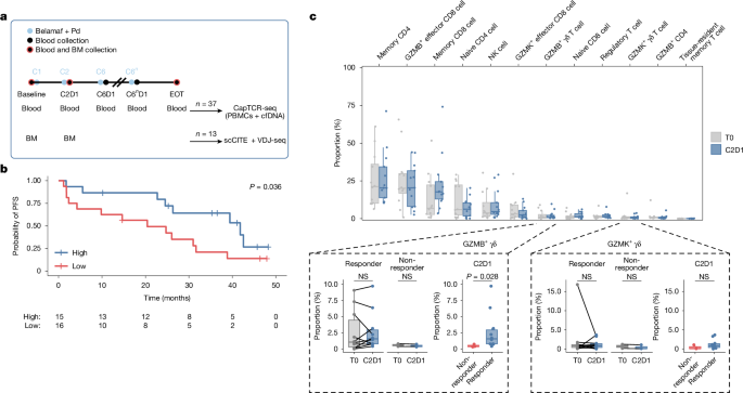 Identification of broadly tumour-reactive γδ TCRs from multiple myeloma – Nature