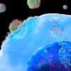 Immune therapy engineered inside the body eases multiple sclerosis