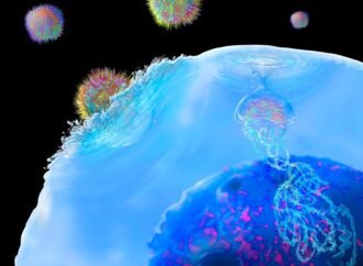 Immune therapy engineered inside the body eases multiple sclerosis