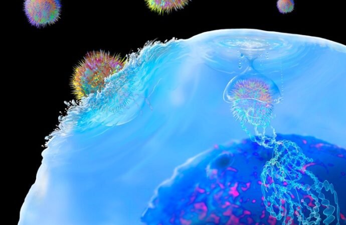 Immune therapy engineered inside the body eases multiple sclerosis