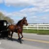 In Amish country, nurses go door to door to stop deadly spread of measles