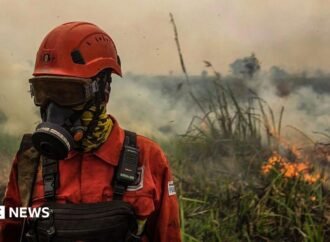 Indonesia fires: Toxic haze spreads across South East Asia amid ‘super’ El Niño