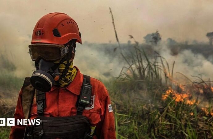 Indonesia fires: Toxic haze spreads across South East Asia amid ‘super’ El Niño