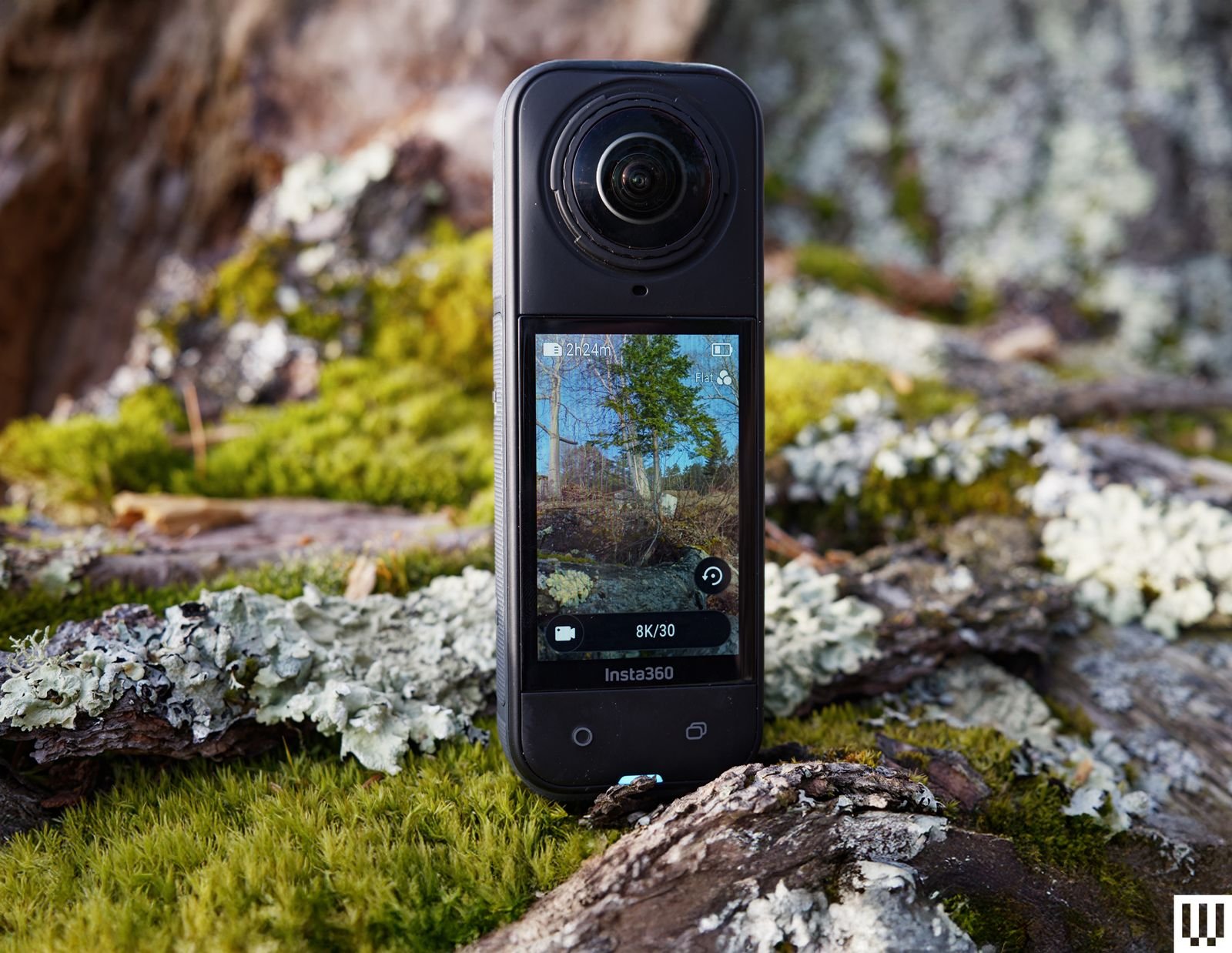 Image may contain Photography Rock Electronics Moss Plant Phone and Mobile Phone