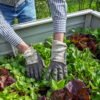 Is produce from a home garden safer than store bought? ‘It depends’