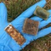 It’s almost time to airdrop rabies vaccines again