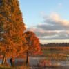 I’ve lived in Florida for 25 years. Here’s why I think fall is the best time to visit.