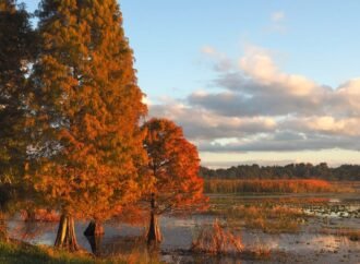 I’ve lived in Florida for 25 years. Here’s why I think fall is the best time to visit.