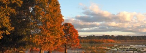 I’ve lived in Florida for 25 years. Here’s why I think fall is the best time to visit.